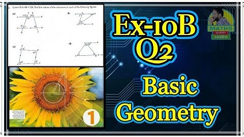Q2 || Ex 10B || D1 || Basic Geometry || NSM 7th Edition