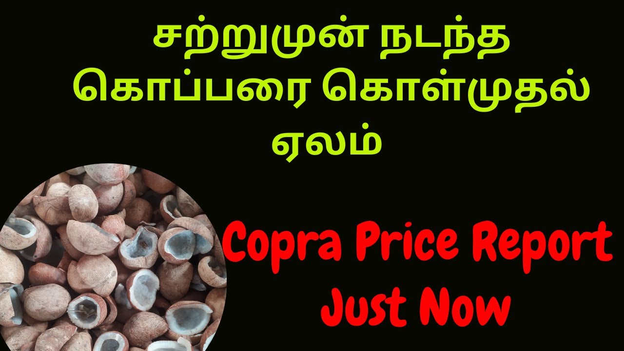 Copta Price Copra Price Report Just Now | அவல்பூந்துறை வெள்ளிக்கிழமை நடக்கும் ...
