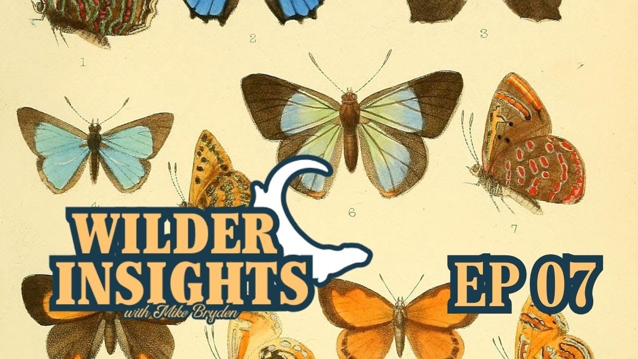 Conservation Social Science with Dr. Lauren Harding | Ep 07