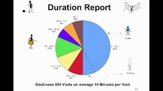 Famous Website Validation Audit.mp4 Net Worth