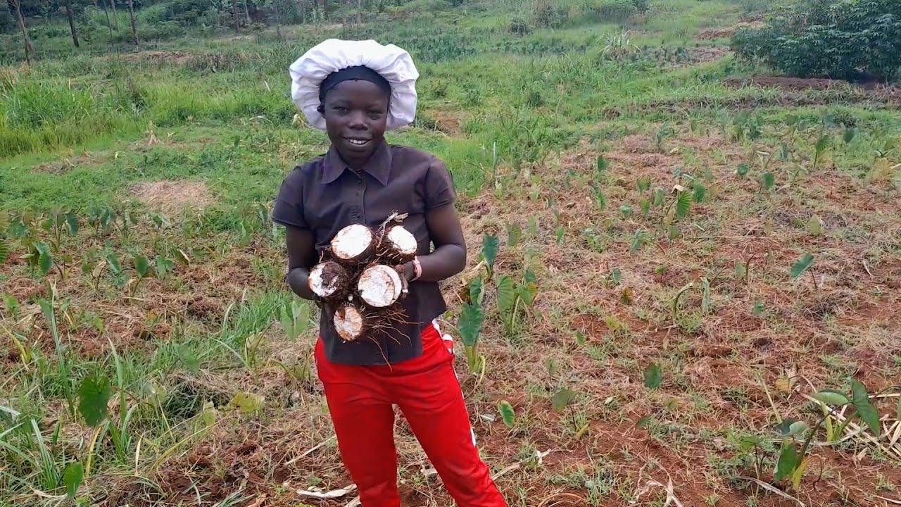 UPCOUNTRY VLOG ep 02: ARROW-ROOT HARVESTING