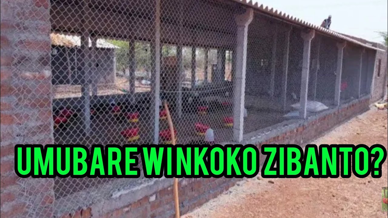 KURI METERO 1 KuRI 1 (m²) hororerwa INKOKO zingahe🤔??.isomo ryuzuye ntirigucike
