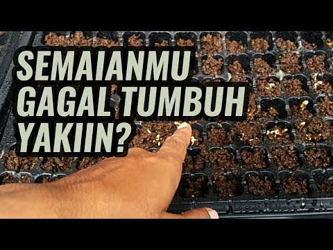 YAKIN SEMAIANMU GAGAL? SIMAK JANGAN DISKIP.... - YouTube
