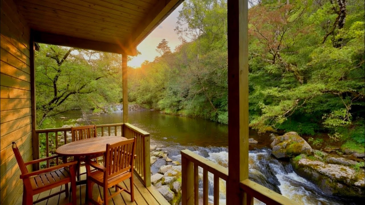 Cozy Riverside Cabin Porch with Flowing River and Birds, Relaxing Nature Sounds for Sleep