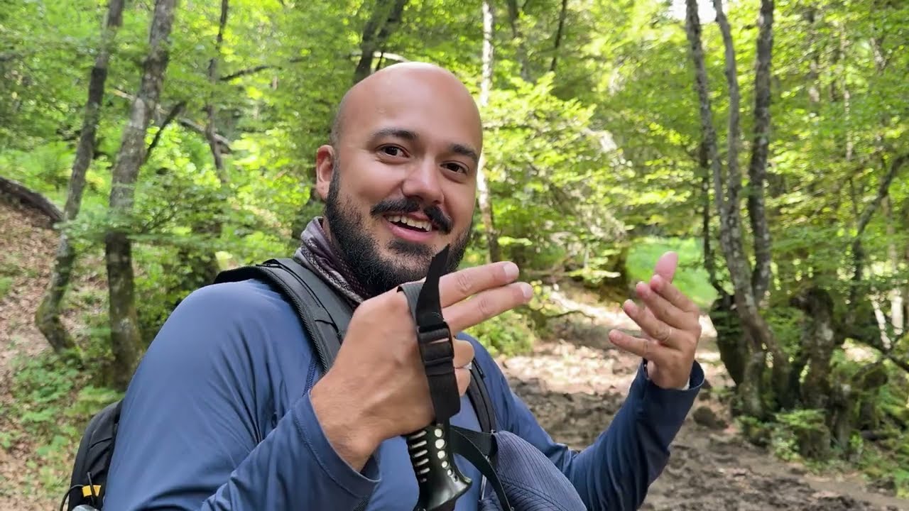 Por que essa Floresta parece encantada?