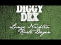 Diggy Dex - Zeg me later