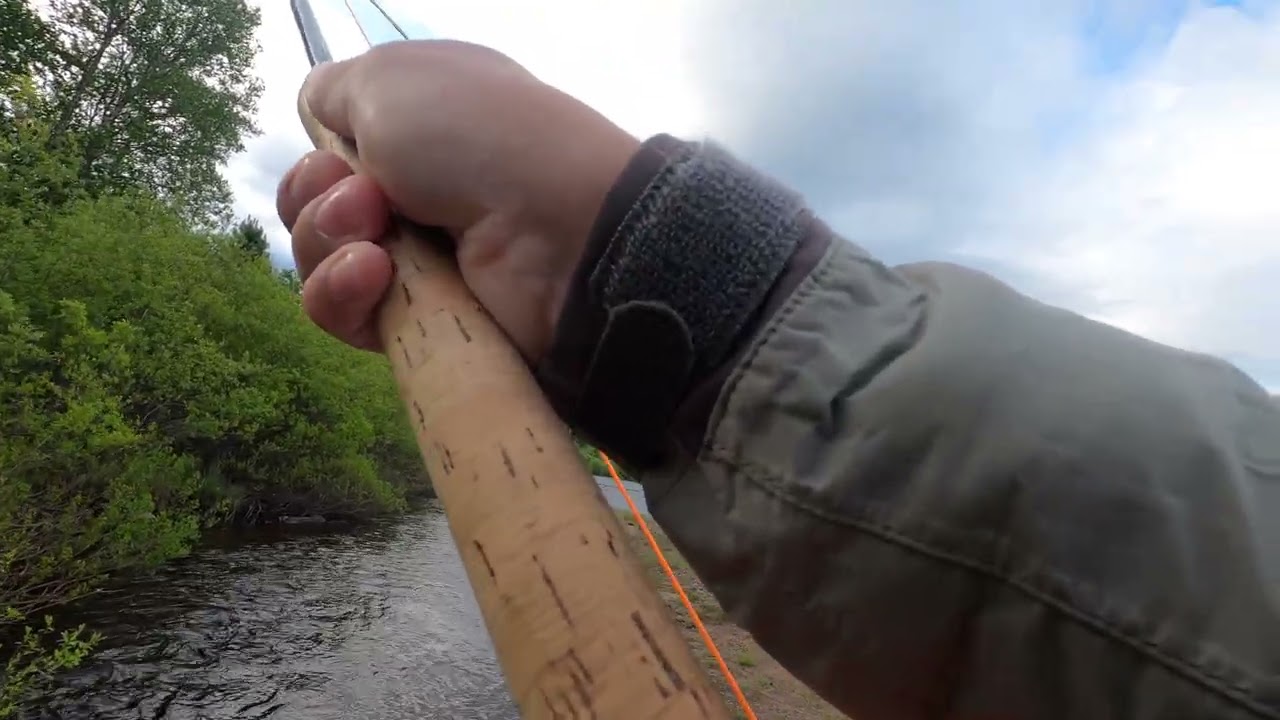 Atlantic Salmon, Kola River. Got fishy! (Кола, Сёмга. Обрыбился!)