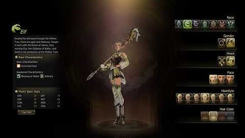 Lineage2 Character Creation