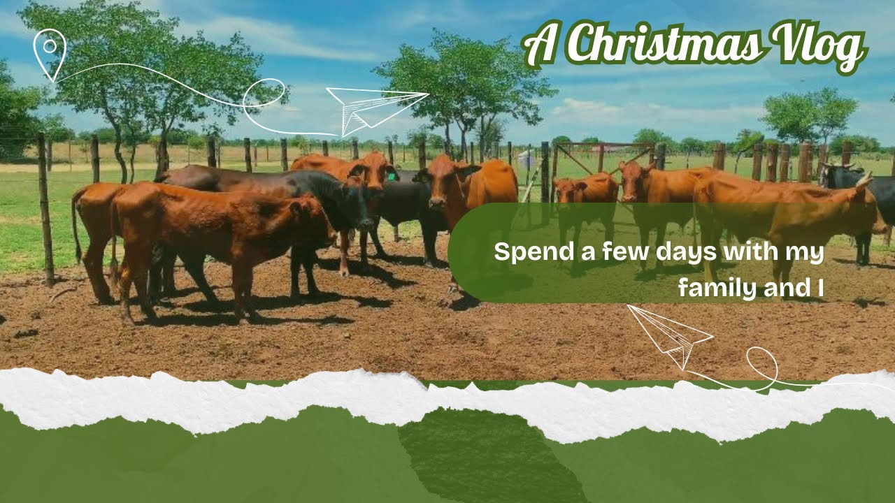 I Went Home for Christmas 🎄 | Village Life & Family in Northern Namibia