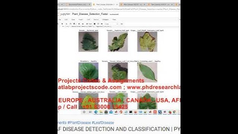 PLANT LEAF DISEASE DETECTION AND CLASSIFICATION | PYTHON CODE