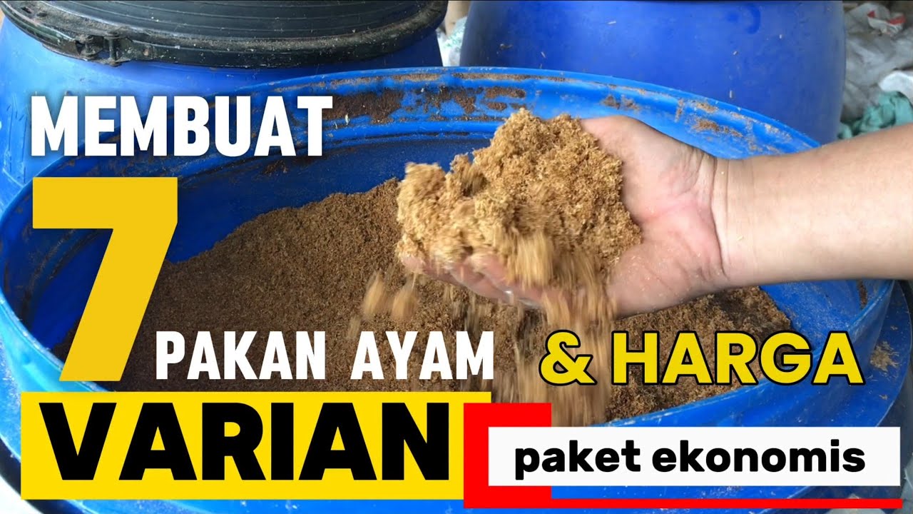 Joss... Membuat 7 Varian Pakan Ayam Harga Ekonomis Cocok buat Merintis Usaha Ternak Rumahan