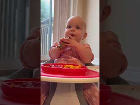 Baby Tries Steak For The First Time Shorts Rollercoaster Babyledweaning