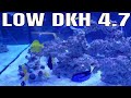 Low Dkh In My Marine Aquarium Low Dkh In My Marine Aquarium