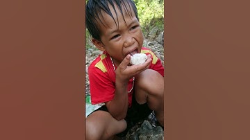 bữa cơm với muối trong rừng