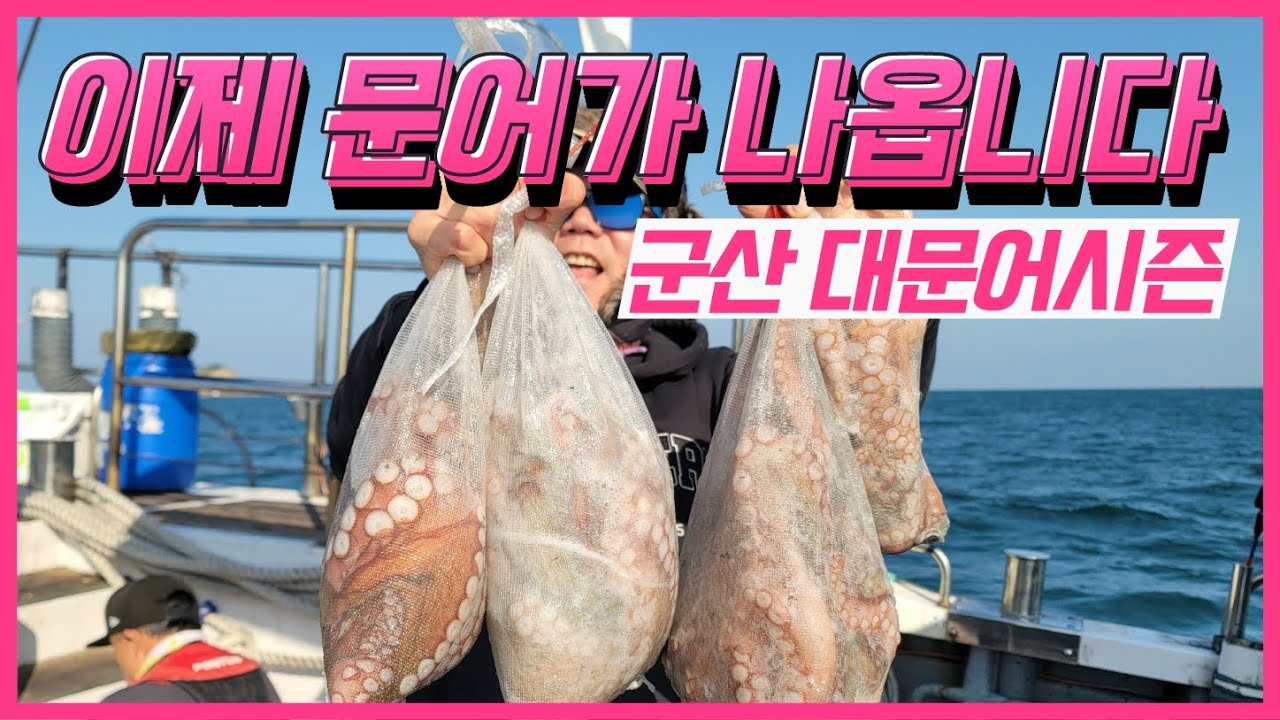 끝난 줄 알았던 문어들이 다시 돌아왔다. 이제는 문어가도 될거 같습니다
