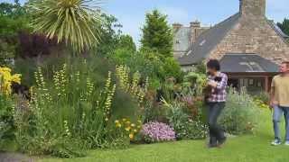 Jardin de Bretagne : le jardin de Babou