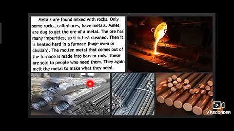 Class 4 /ICSE/ Science/ Lesson 8  part 2 /Session 18