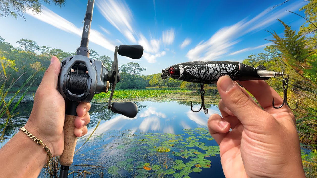 Fishing BIG Topwater's For Lake MONSTERS!!