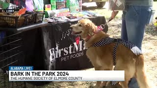 Come out for Bark in the Park 2024