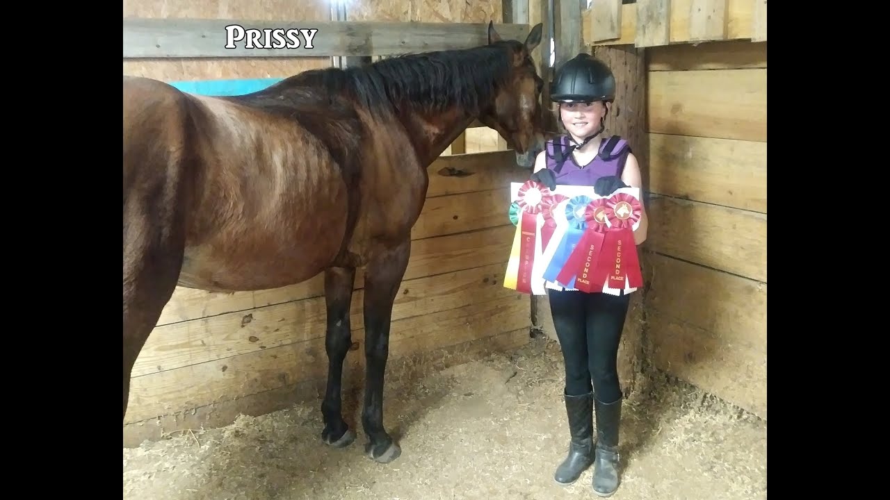 Abby Wilson Horse Show 2021