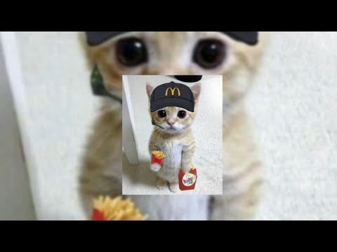 Jay Sean Down Speed Up