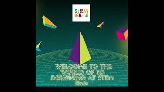 Celebrity STEM Birds Tinkercad Programming Course Wealth