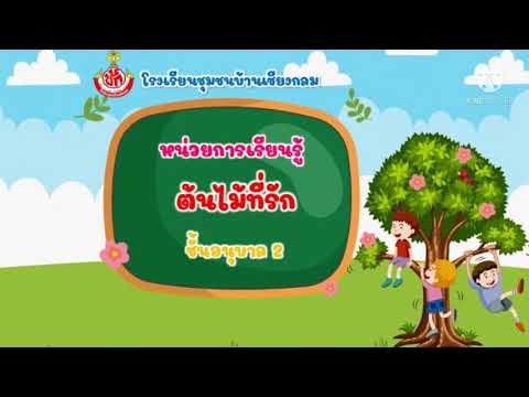 หน่วยต้นไม้ที่รัก เรื่องประโยชน์ของต้นไม้และโทษของการทำลายป่าไม้