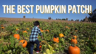 The Best Pumpkin Patch Tour! | Y WORRY FARM - PART 01 | Davidsonville, Maryland, USA
