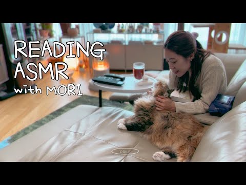 <strong>ENG</strong> | 백색소음 <strong>asmr</strong> | 고양이와 나와 책 📚☕️ 골골송 🐱 무편집ver. 거실에서 책읽기