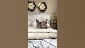 Modern Visual Merchandising