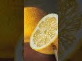 Building Shadows on Lemons - Oil Painting Tutorial Excerpt #art #oilpainting #oilpaintingtips #oils