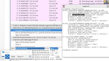 4.4.2.8 Lab - Using Wireshark to Examine Ethernet Frames