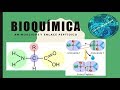 Bioquímica: Aminoácidos y enlace peptídico.