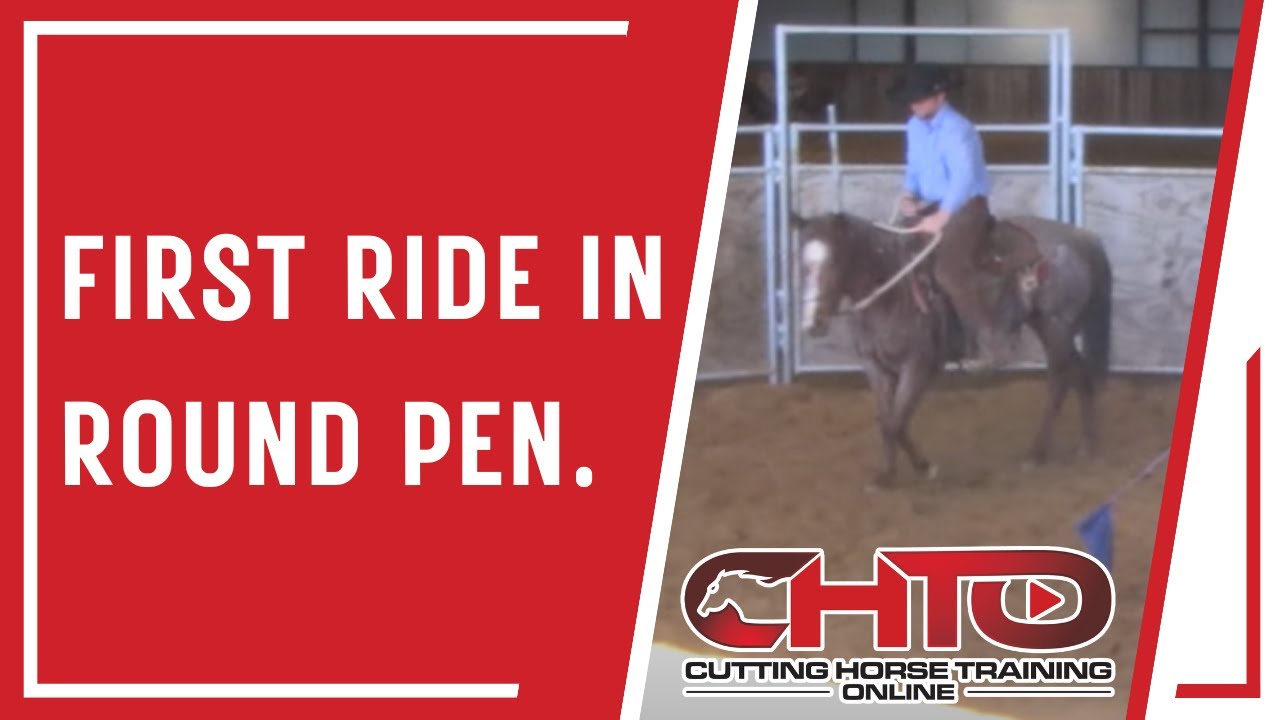 First Ride In Round Pen.