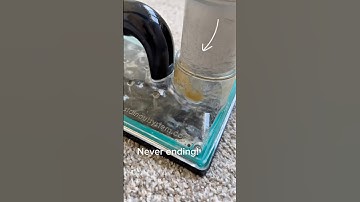 Cat Urine Carpet Cleaning