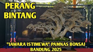 Download Lagu PERANG BINTANG 🤩 PAMNAS BONSAI BANDUNG 2025 JAWARA ISTIMEWA MP3