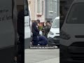 Mountain lion was tranquilized and captured in San Francisco