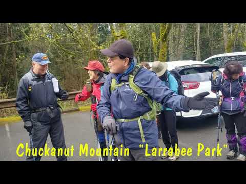 Larrabee Park (Chuckanut Mountain)  시애틀 산악회 제공  (107년된 워싱턴주 최초의 주립공원)  아름다운 원시림