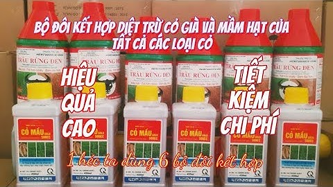 Làm thế nào để vườn cây trồng luôn sạch cỏ dại.