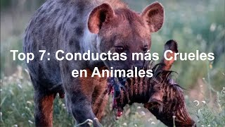 Top 7: Conductas mas Crueles en Animales