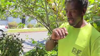 The Tile Job That Transforms a Bathroom: A Beginner's Complete Guide