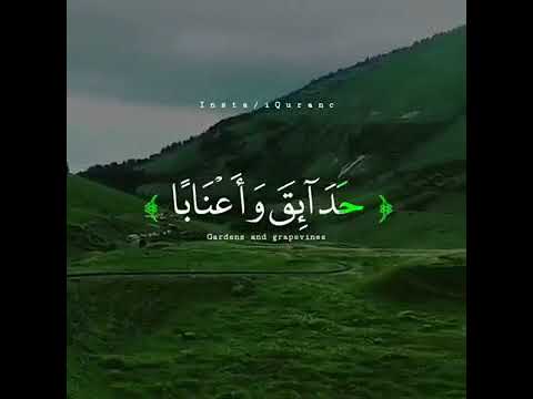 رنين هاتف آيات قرأن 