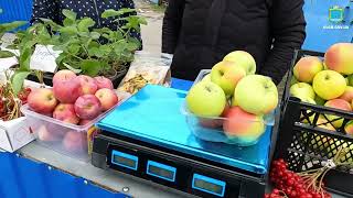 Упорядкування торгівлі, а не заборона