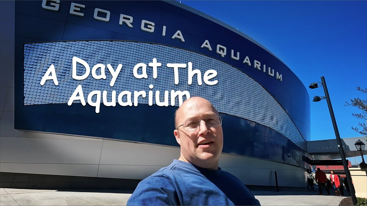 Fun Day at The Georgia Aquarium - Bonus - Set to Relaxing Music 3/15/23