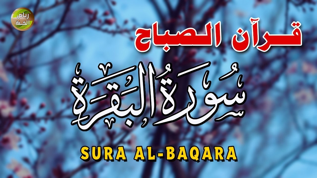قرآن الصباح لطرد الشياطين من البيت-سورة البقرة - لطرد لشيطان وجلب البركة | القارئ عبدالغني حوا