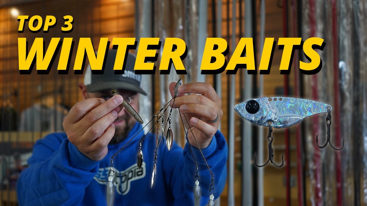 The Top 3 Winter Baits for Bass Fishing YouTube