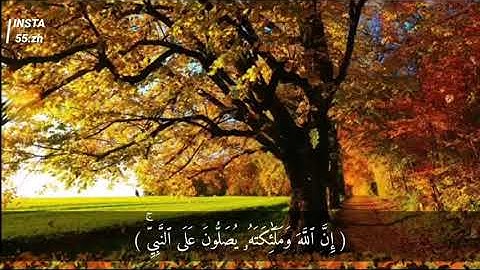 تلاوة هادئة ، ان الله وملائكته يصلون على النبي | 💜🌱