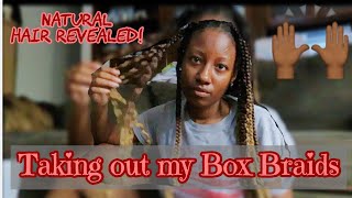 Taking Out My Briads Finally Natural Hair Revealed