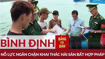 Bình Định nỗ lực ngăn chặn khai thác IUU | Đảng với Dân