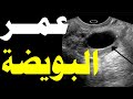 كم من الوقت تعيش البويضة بعد خروجها من المبيض | كم تظل البويضة حية و قابلة للتخصيب بعد الإباضة